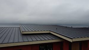 Best Asphalt Shingle Roofing  in Buena Vista, CO